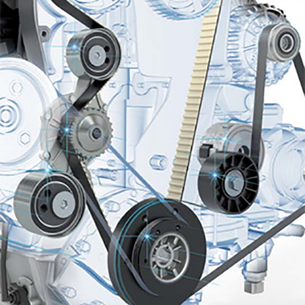 Distribuição e polis de cambota